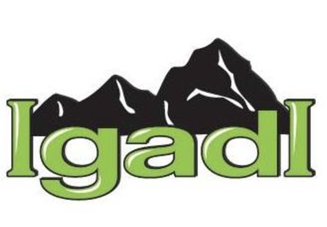 Igadi